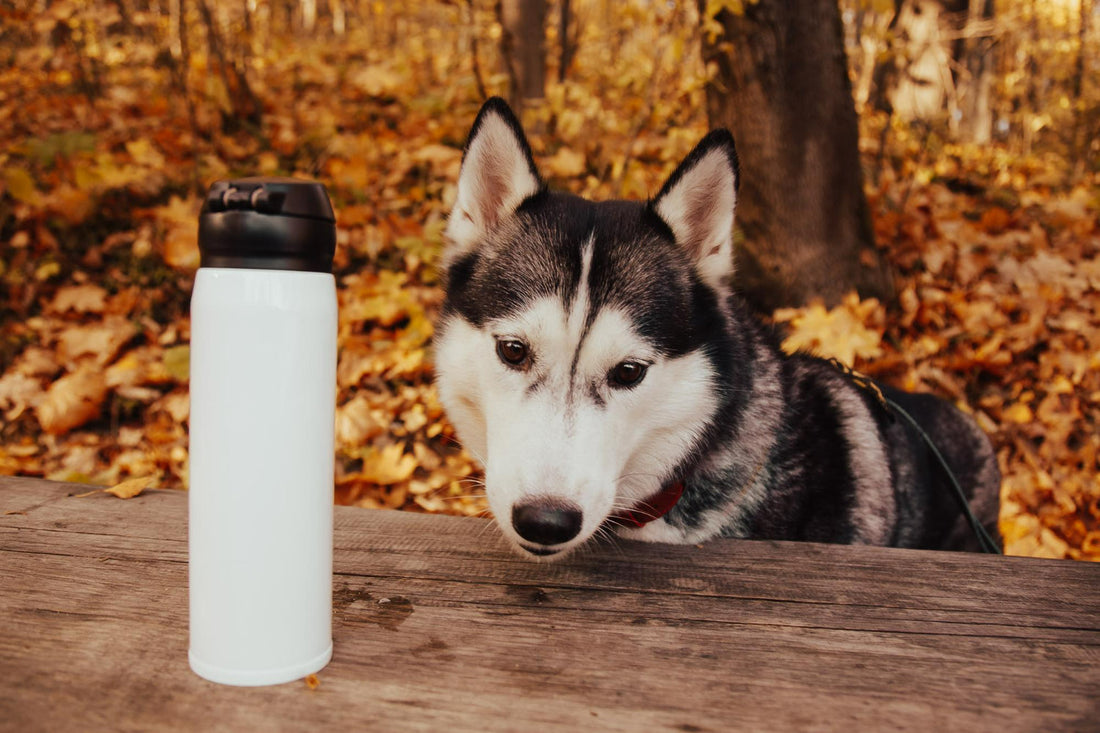 animal tumbler